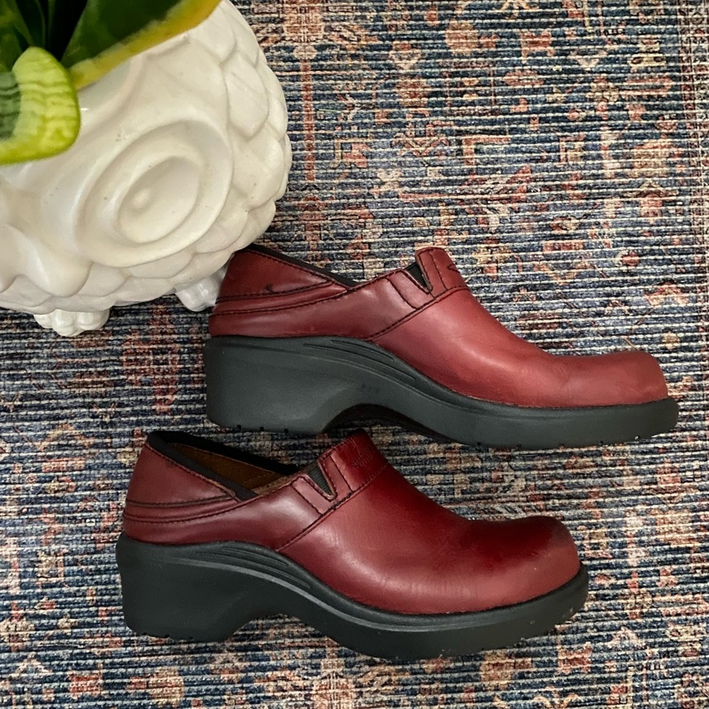ARIAT Santa Cruz Clogs